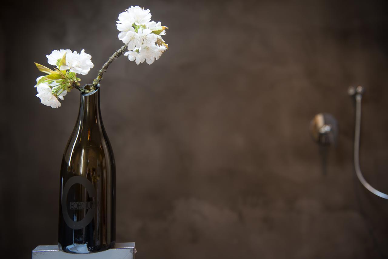 Bed and Breakfast Weingut Georgium Санкт-Георген-ам-Ленгзе Экстерьер фото