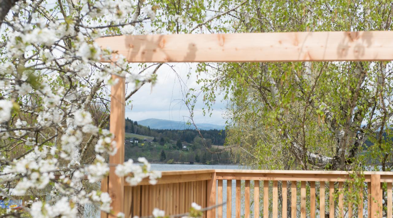 Bed and Breakfast Weingut Georgium Санкт-Георген-ам-Ленгзе Экстерьер фото