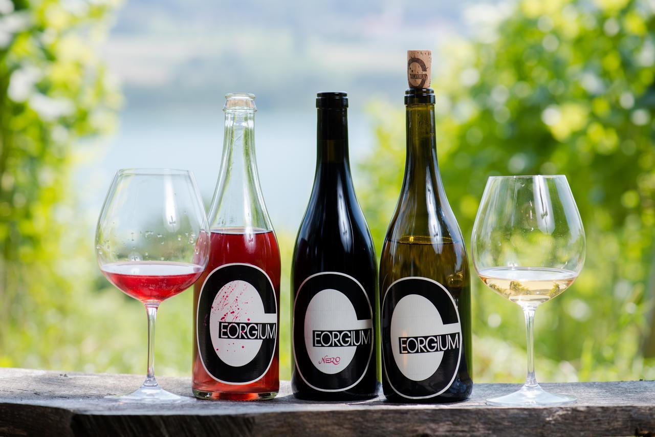 Bed and Breakfast Weingut Georgium Санкт-Георген-ам-Ленгзе Экстерьер фото