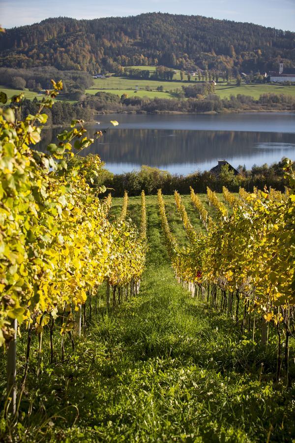 Bed and Breakfast Weingut Georgium Санкт-Георген-ам-Ленгзе Экстерьер фото